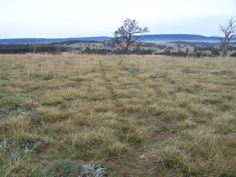 64 Curlewin Lane, Goulburn NSW 2580