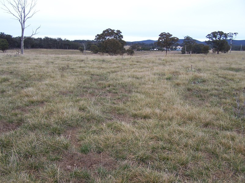 64 Curlewin Lane, Goulburn NSW 2580