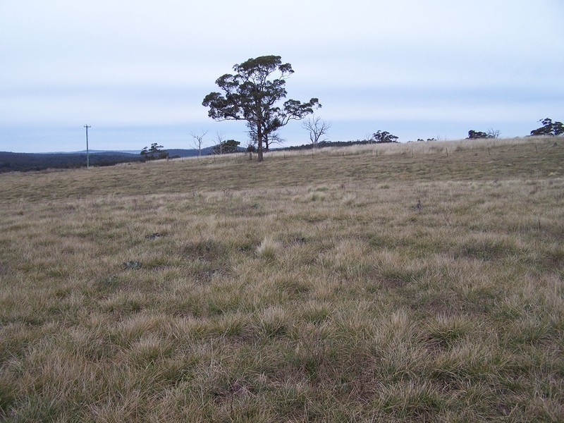64 Curlewin Lane, Goulburn NSW 2580