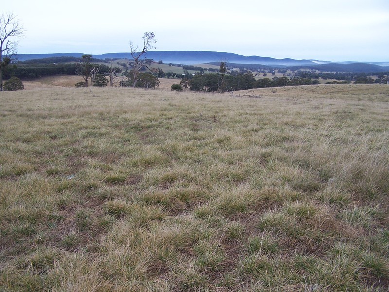 64 Curlewin Lane, Goulburn NSW 2580