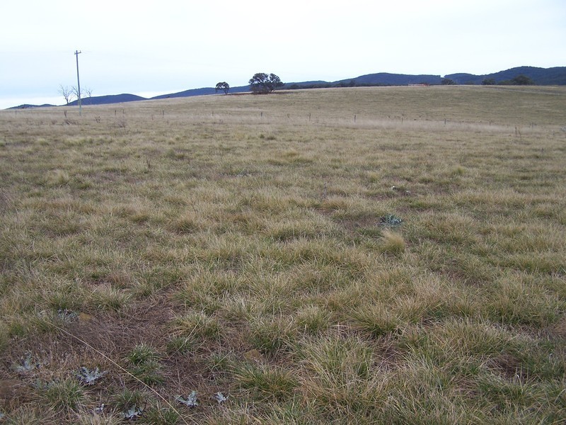 64 Curlewin Lane, Goulburn NSW 2580