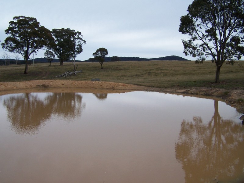 64 Curlewin Lane, Goulburn NSW 2580