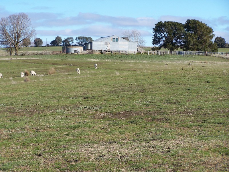 “Snowy Mt Farm” Bigga Road, Bigga NSW 2583
