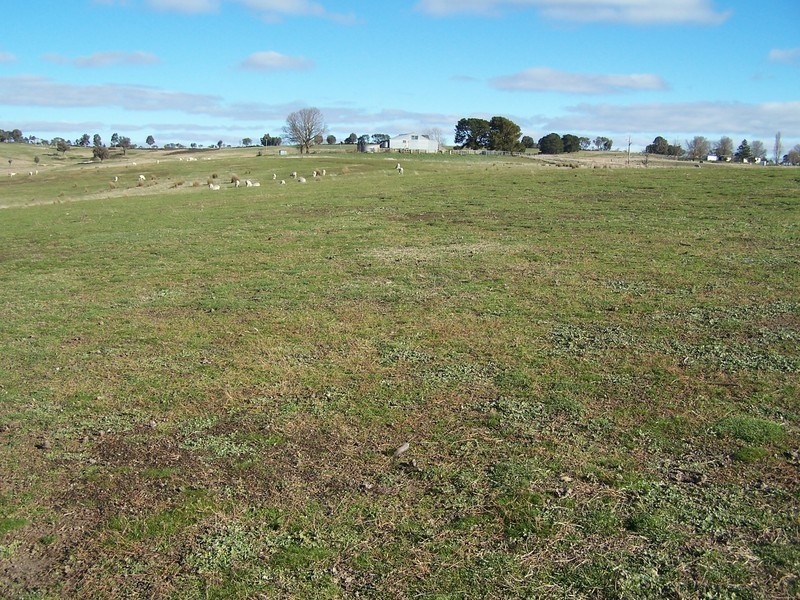 “Snowy Mt Farm” Bigga Road, Bigga NSW 2583