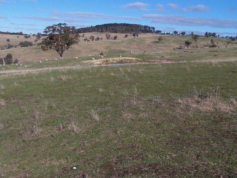 “Snowy Mt Farm” Bigga Road, Bigga NSW 2583