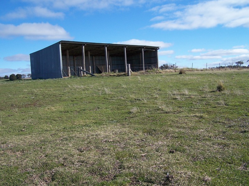 “Snowy Mt Farm” Bigga Road, Bigga NSW 2583