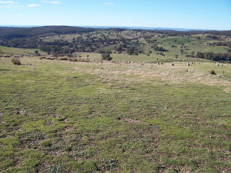 “Snowy Mt Farm” Bigga Road, Bigga NSW 2583