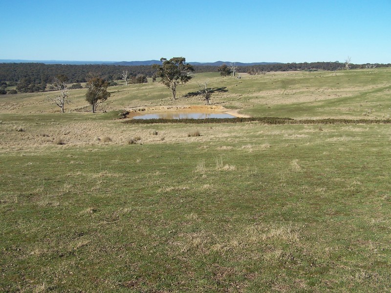 “Snowy Mt Farm” Bigga Road, Bigga NSW 2583