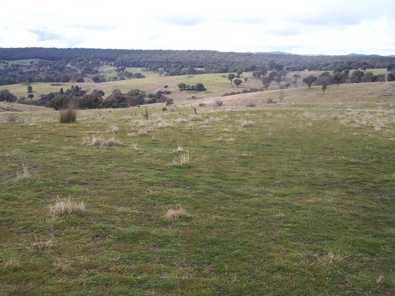 “Snowy Mt Farm” Bigga Road, Bigga NSW 2583