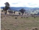 “Snowy Mt Farm” Bigga Road, Bigga NSW 2583