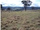 “Snowy Mt Farm” Bigga Road, Bigga NSW 2583
