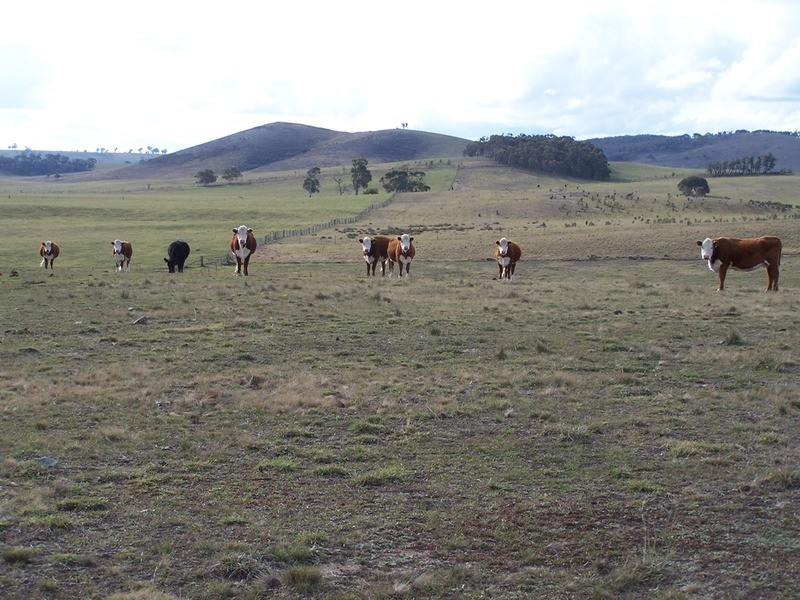 Lot 1 Annies Lane, Woodhouselee NSW 2580