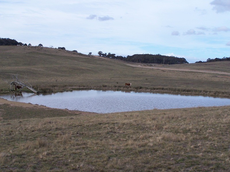 Lot 1 Annies Lane, Woodhouselee NSW 2580