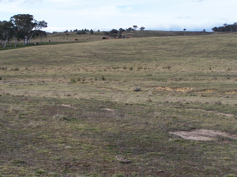 Lot 1 Annies Lane, Woodhouselee NSW 2580