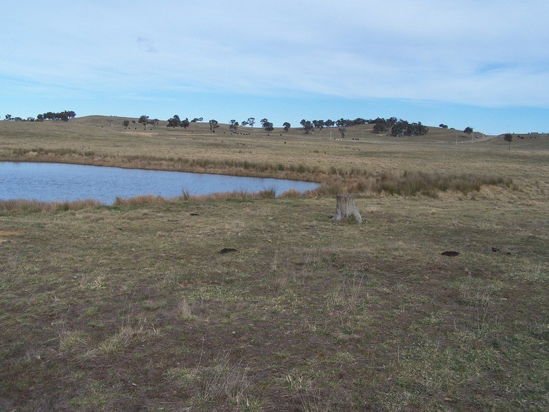 Lot 1 Annies Lane, Woodhouselee NSW 2580