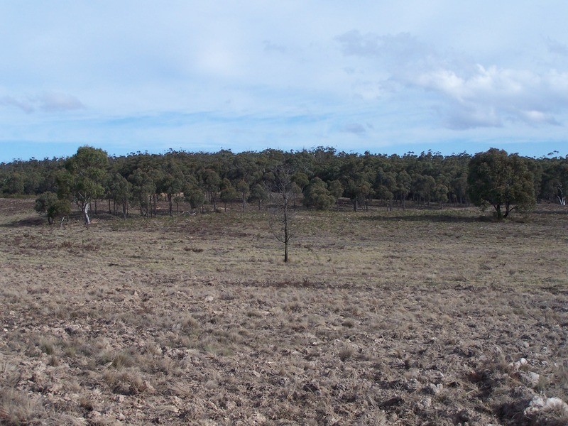 Lot 9 Annies Lane, Woodhouselee NSW 2580