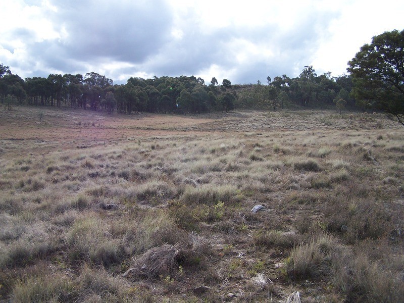 Lot 9 Annies Lane, Woodhouselee NSW 2580