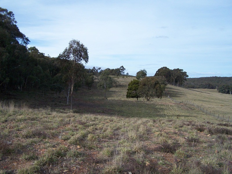 Lot 9 Annies Lane, Woodhouselee NSW 2580