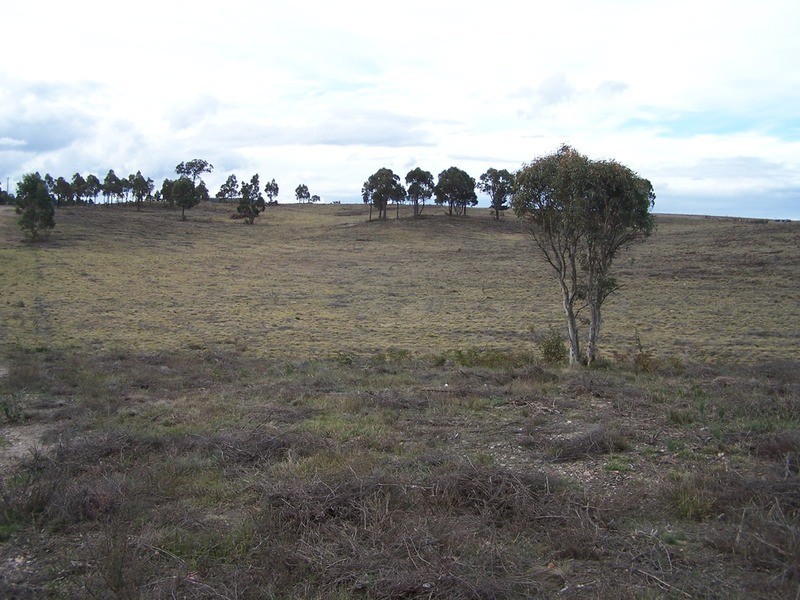 Lot 9 Annies Lane, Woodhouselee NSW 2580