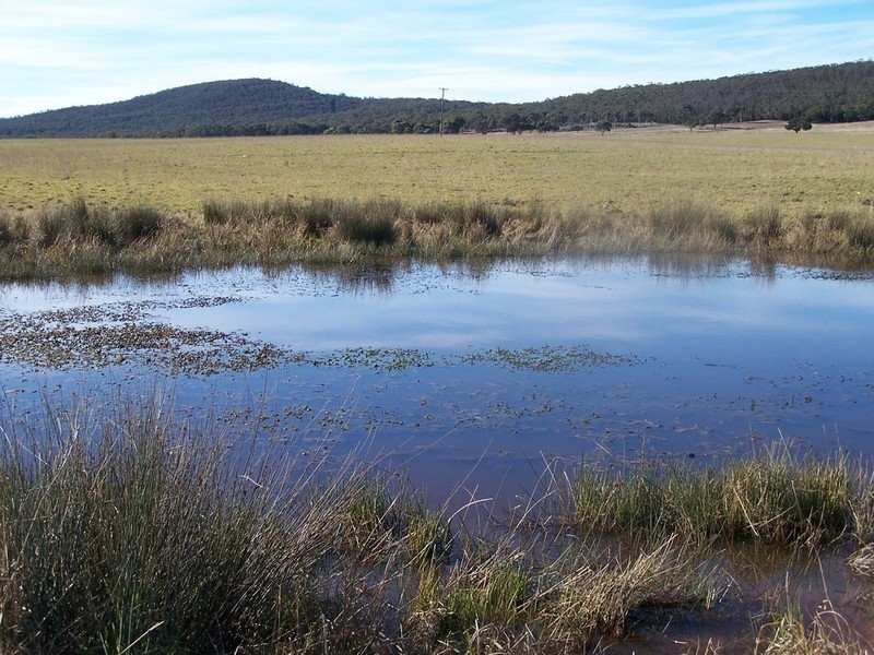 Lot 11 Kooringaroo Road, Goulburn NSW 2580