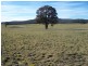 Lot 11 Kooringaroo Road, Goulburn NSW 2580