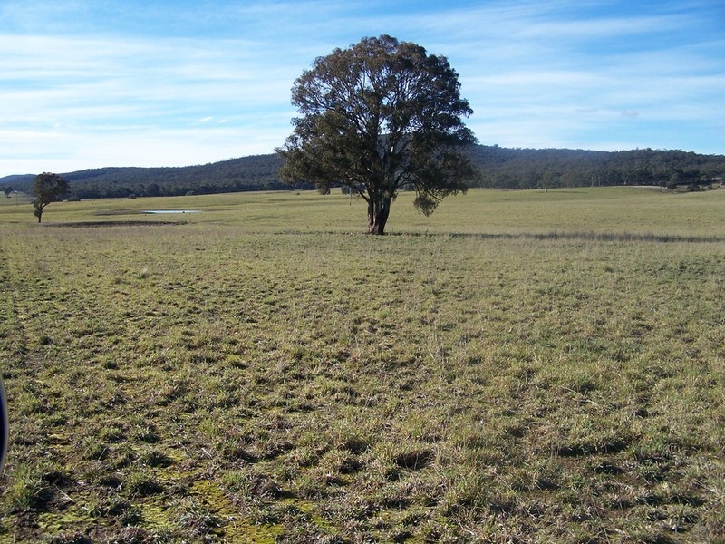 Lot 11 Kooringaroo Road, Goulburn NSW 2580