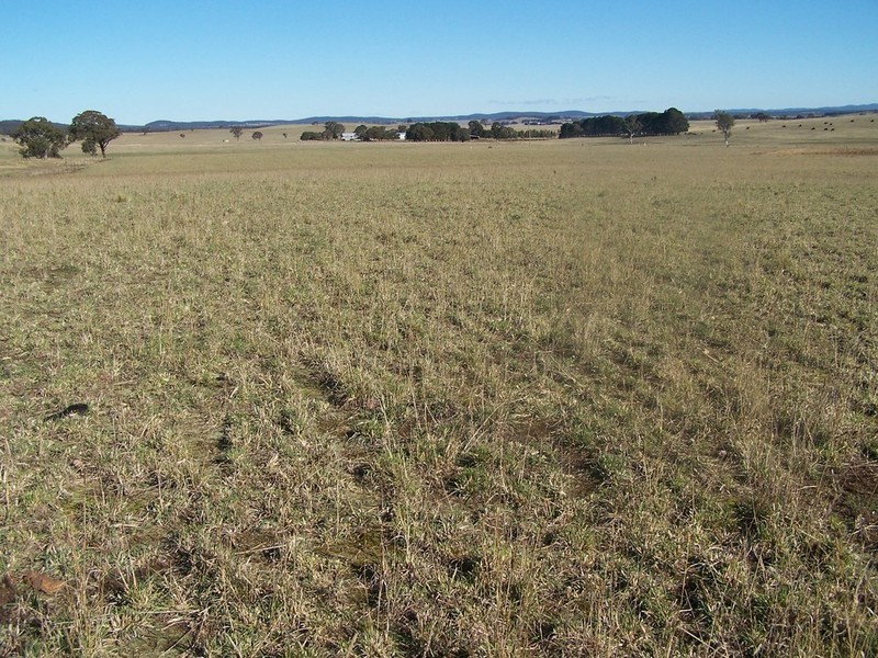 Lot 11 Kooringaroo Road, Goulburn NSW 2580