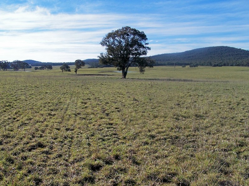Lot 11 Kooringaroo Road, Goulburn NSW 2580