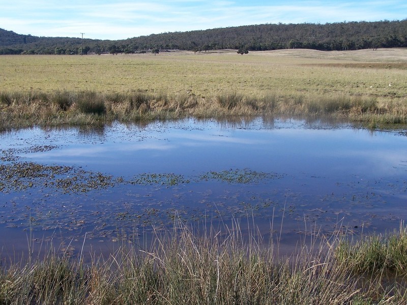 Lot 11 Kooringaroo Road, Goulburn NSW 2580