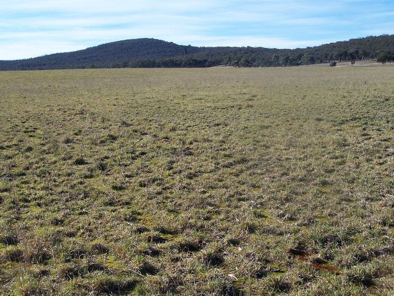 Lot 11 Kooringaroo Road, Goulburn NSW 2580