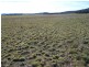 Lot 11 Kooringaroo Road, Goulburn NSW 2580