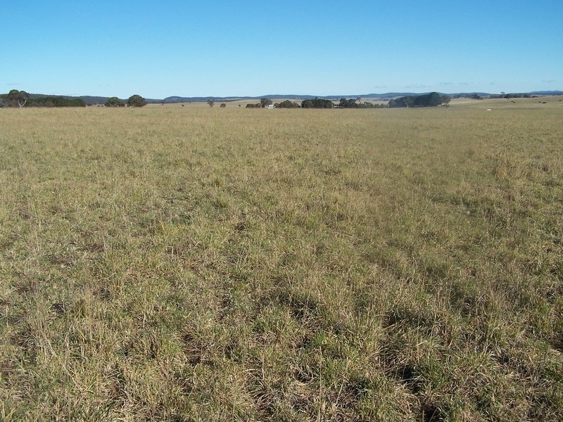 Lot 11 Kooringaroo Road, Goulburn NSW 2580