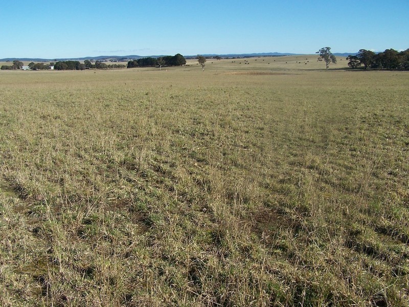 Lot 11 Kooringaroo Road, Goulburn NSW 2580