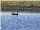 Lot 10 Kooringaroo Road, Goulburn NSW 2580