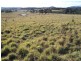 Lot 10 Kooringaroo Road, Goulburn NSW 2580