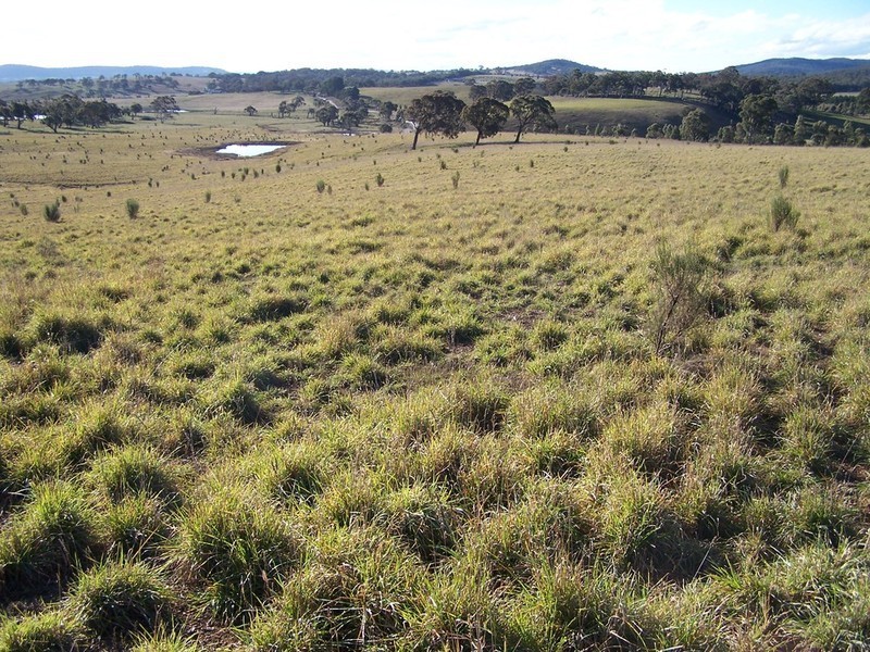 Lot 10 Kooringaroo Road, Goulburn NSW 2580