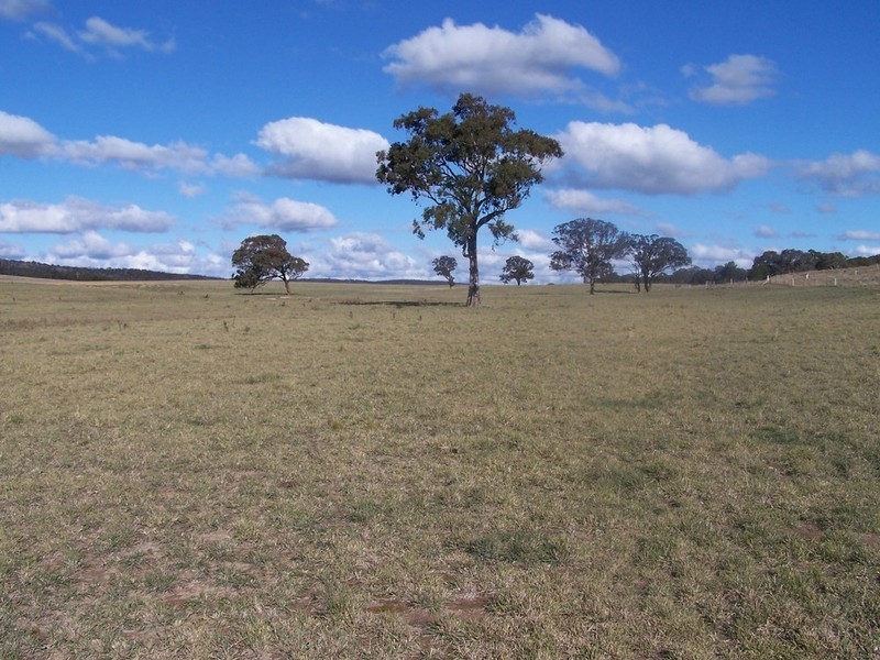 Lot 10 Kooringaroo Road, Goulburn NSW 2580