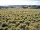 Lot 10 Kooringaroo Road, Goulburn NSW 2580