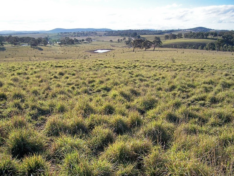 Lot 10 Kooringaroo Road, Goulburn NSW 2580