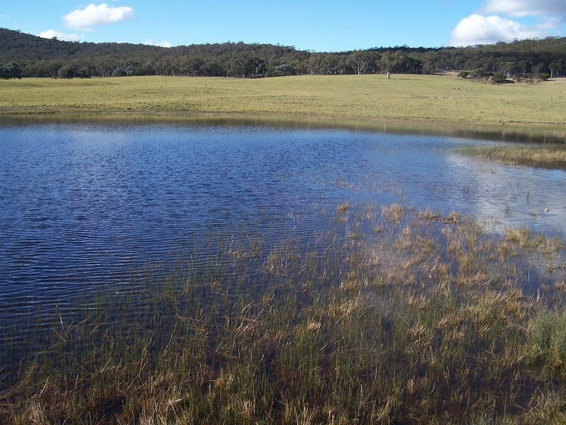Lot 10 Kooringaroo Road, Goulburn NSW 2580