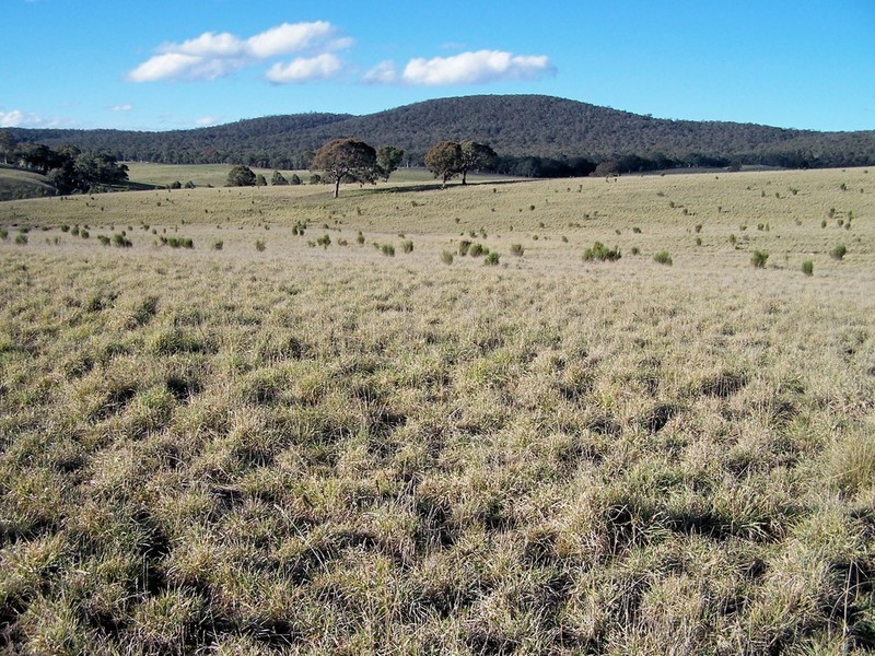 Lot 10 Kooringaroo Road, Goulburn NSW 2580