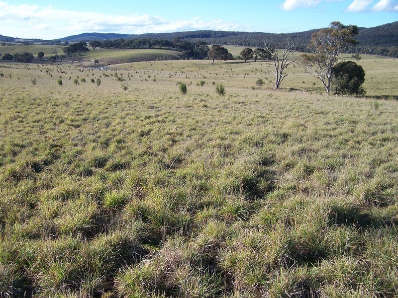 Lot 10 Kooringaroo Road, Goulburn NSW 2580