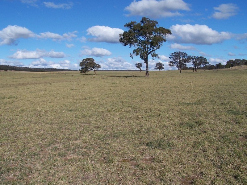 Lot 10 Kooringaroo Road, Goulburn NSW 2580