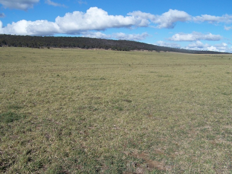 Lot 10 Kooringaroo Road, Goulburn NSW 2580