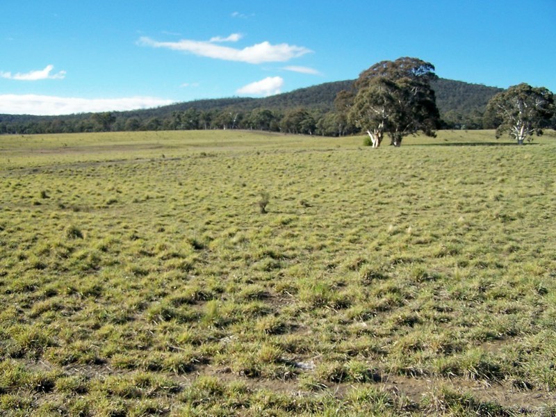 Lot 9 Kooringaroo Road, Goulburn NSW 2580