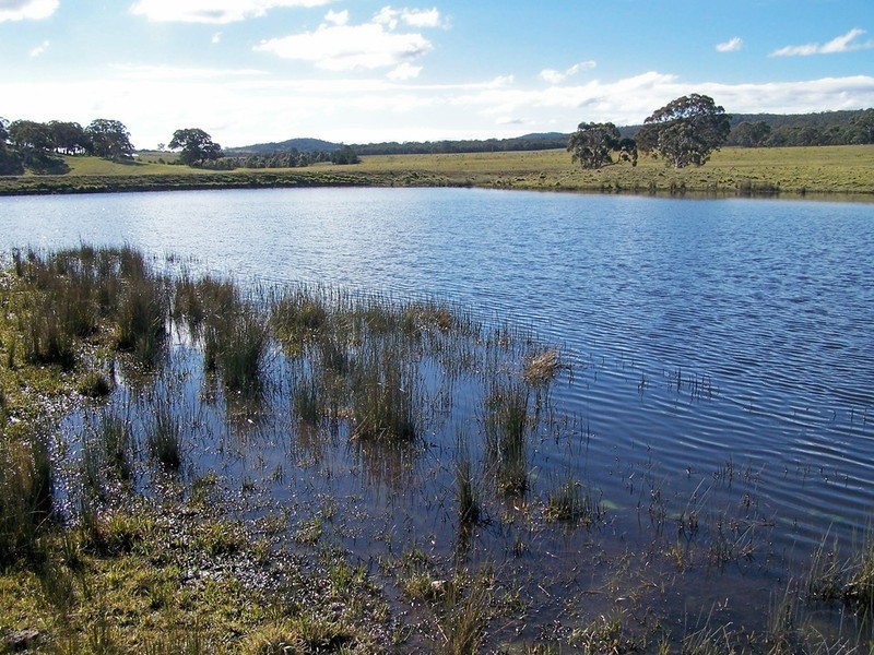 Lot 9 Kooringaroo Road, Goulburn NSW 2580
