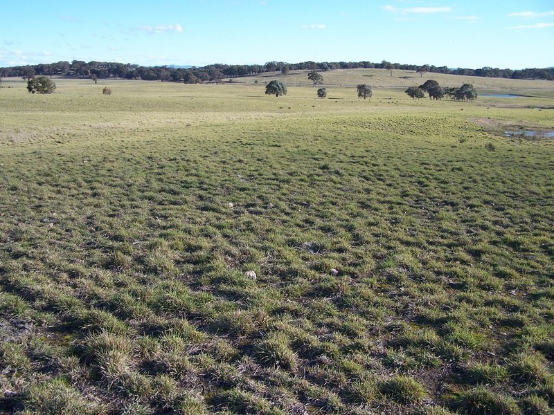Lot 9 Kooringaroo Road, Goulburn NSW 2580