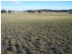Lot 9 Kooringaroo Road, Goulburn NSW 2580