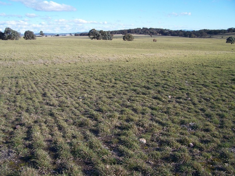 Lot 9 Kooringaroo Road, Goulburn NSW 2580