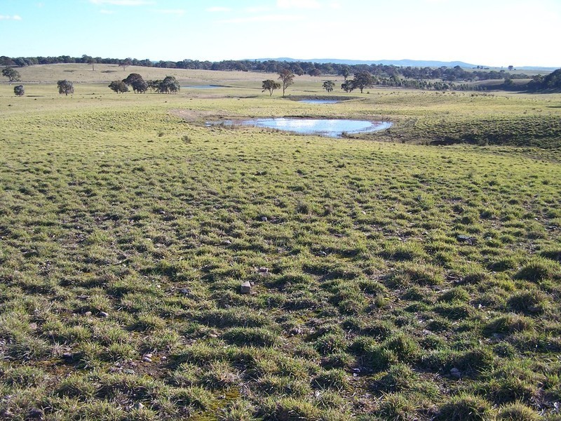 Lot 9 Kooringaroo Road, Goulburn NSW 2580